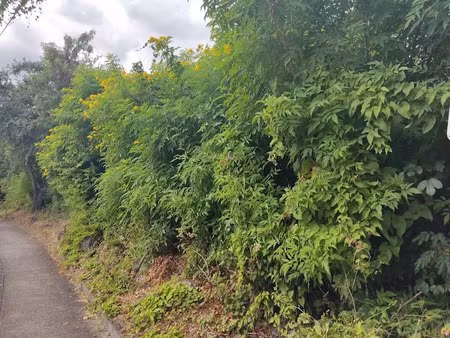 vente terrain à la possession (97419)  2 650 000 €