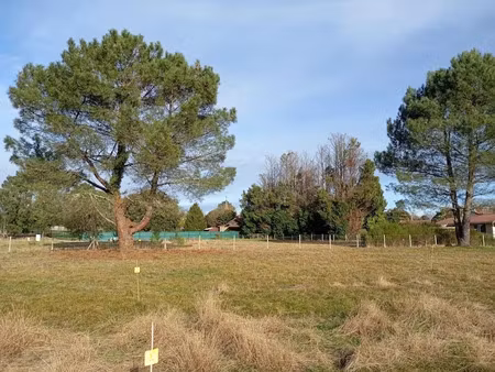 vente terrain 616 m² à vielle-saint-girons (40560)  94 000 €