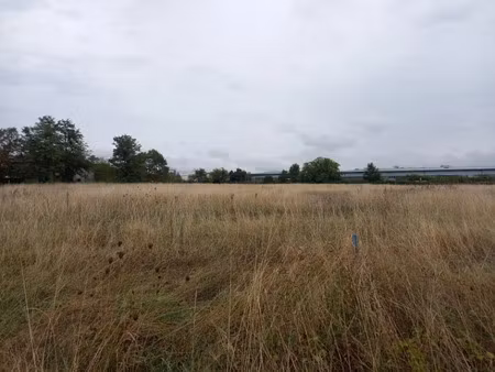 vente terrain 505 m² à saint-sulpice (81370)  87 000 €