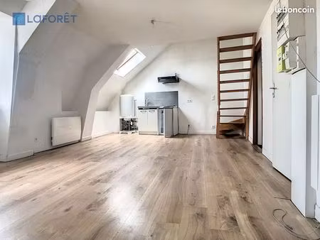 duplex 1 pièce 29 m²
