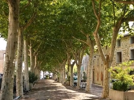 minervois maison t3 a louer