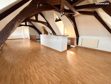 loft 1 pièce 40 m²