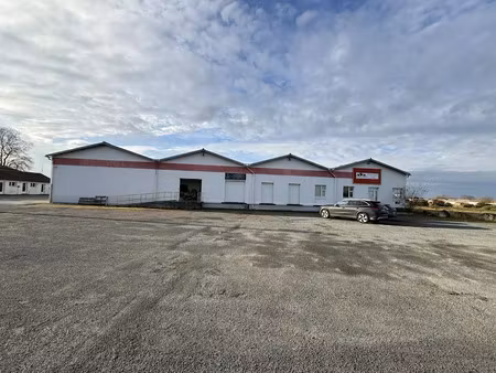 vente locaux professionnels 1200 m² à le gua (17600)  588 000 €