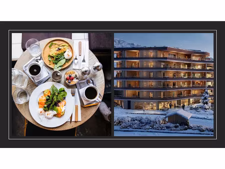 vente locaux professionnels 106.41 m² à tignes (73320)  833 000 €