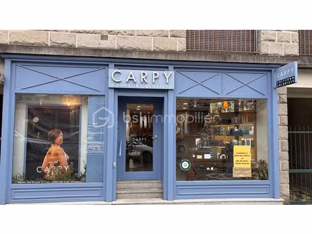 vente locaux professionnels à vitre (35500)  78 500 €