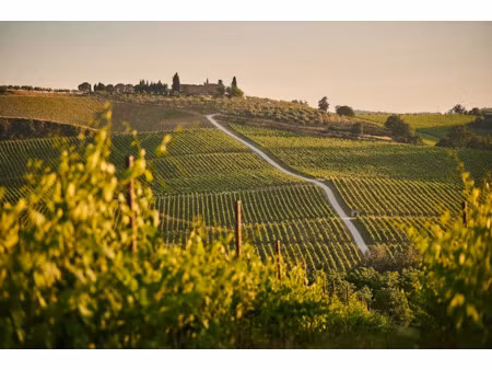 vente terrain 20 pièces 630 m² à blaye (33390)  1 100 000 €