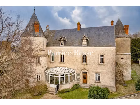 vente château 4 pièces 296 m² à congerville-thionville (91740)  770 000 €