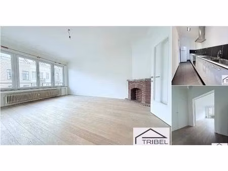 appartement à louer à chaussée de vleurgat 51 ixelles (vbd75538)
