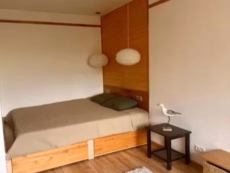 location meublée appartement 1 pièce 25 m² à lyon 7ème (69007)  490 €