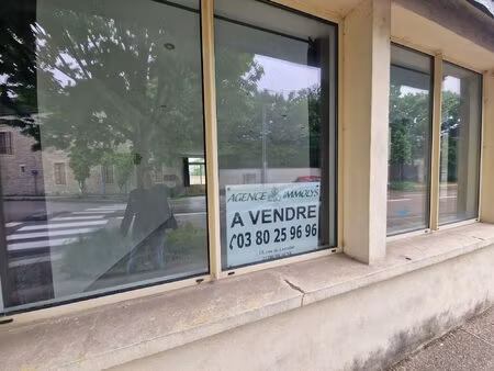 immobilier professionnel à vendre beaune