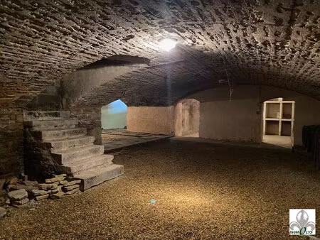 immobilier professionnel à vendre savigny-lès-beaune