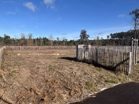 vente terrain moliets-et-maâ (40660)