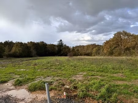terrain de 8000m2 sur orvault / sautron - exclusivité