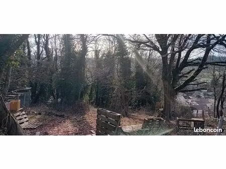 terrain de loisirs entierrement boisé