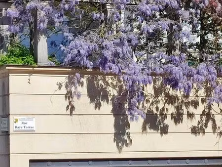 4 pièces · 83 m²4 pièces  83 m² · le plessis-robinson 92350 · quartier nouvelle cité - jar