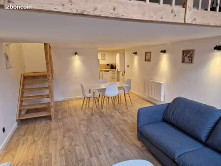 location meublée - magnifique duplex - vieux-lille - 55m²