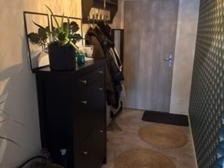 appartement f3 neuf à louer