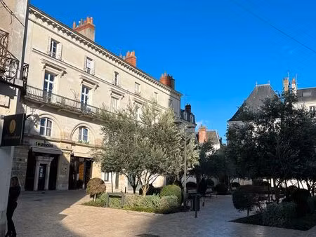joli et grand studio à louer entre chateauneuf et plum à tours