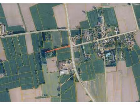 weiland te koop ronsele vrij van pacht