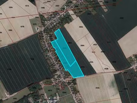deux terrains agricoles contigus - aineffe/vaux-et-borset