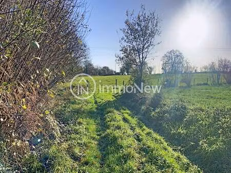 vente terrain à anctoville-sur-boscq (50400) : à vendre / anctoville-sur-boscq