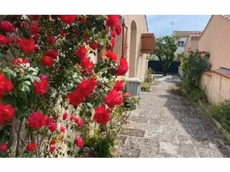 location maison  m² t-4 à saint-gély-du-fesc  1 455 €