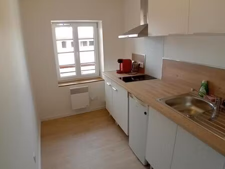 location appartement 2 pièces 28 m² à albi (81000)