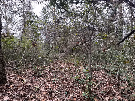 terrain villemoustaussou 5166 m2