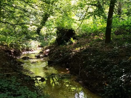 cadre bucolique pour ce domaine compose de 3 maisons sur 15 000 m2