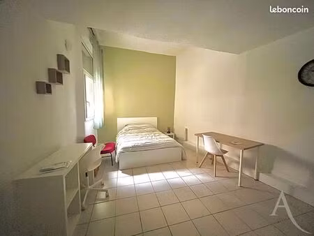 studio 1 pièce 24 m²
