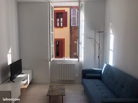 magnifique t2 meublé – lumineux – entièrement rénové – rue piétonne (rue pargaminières)  t