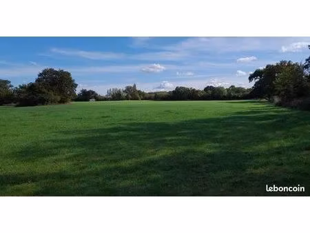 4 hectares de terrains avec hangar  forages  mare pour chevaux à 15min d'angers
