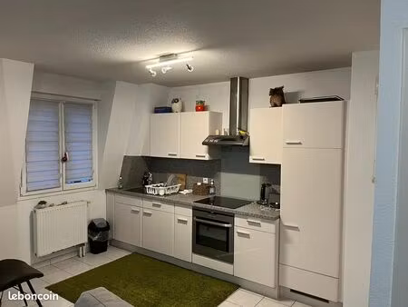 bel appartement t2 avec terrasse - quartier gare dornach (mulhouse)