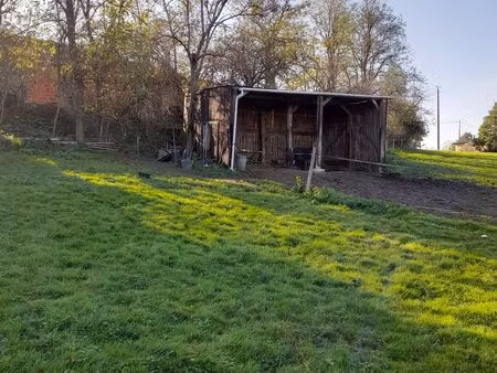 terrain à louer pour chevaux