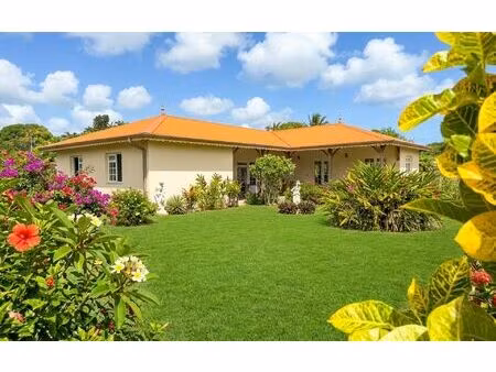 maison basse-pointe m² t-2 à vendre  300 000 €