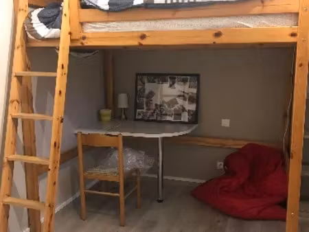 location meublée appartement 1 pièce 16 m² à orleans (45000)  420 €