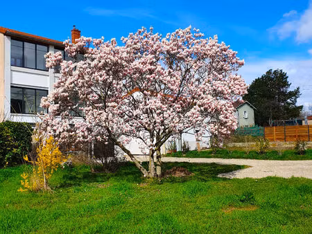 maison chaponost 6 pièces 160 m2