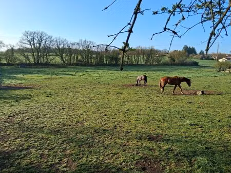 propriété avec centre équestre sur plus de 3 hectares