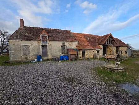 vente maison 3 pièces 40 m² à rezay (18170)  56 000 €