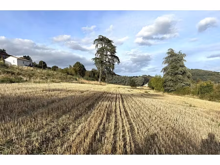 vente maison 972 m² à bourg-argental (42220)  89 000 €