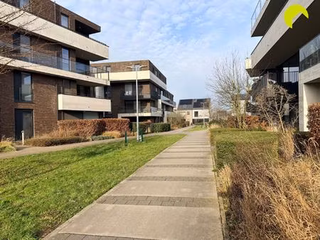 appartement te huur in edegem met 1 slaapkamer