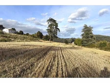 achat terrain 972m² bourg argental 42220