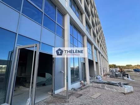 location local professionnel 2 106m² montpellier 34000