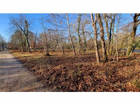 achat terrain 2 713m² mezos 40170