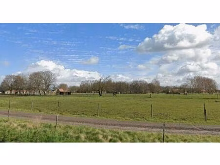 grond te koop in assenede