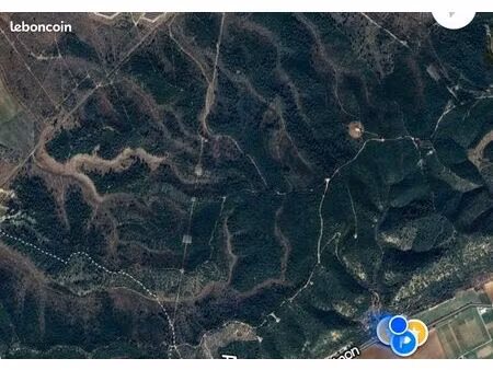 hectares de forêt boisee chêne