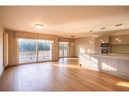 appartement te koop in berlare