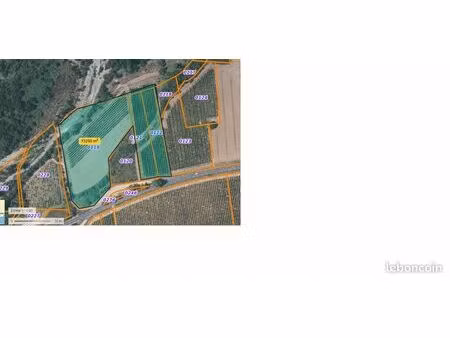 vente vignes cépages résistants