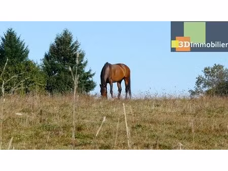 vente maison 11 pièces 500 m² dole (39100)