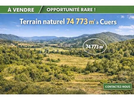 foret de 74 773 m² à cuers